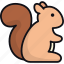 squirrel, chipmunk, mammal, animal, rodent, wildlife 