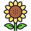 sunflower, flower, bloom, petals, helianthus, garden 