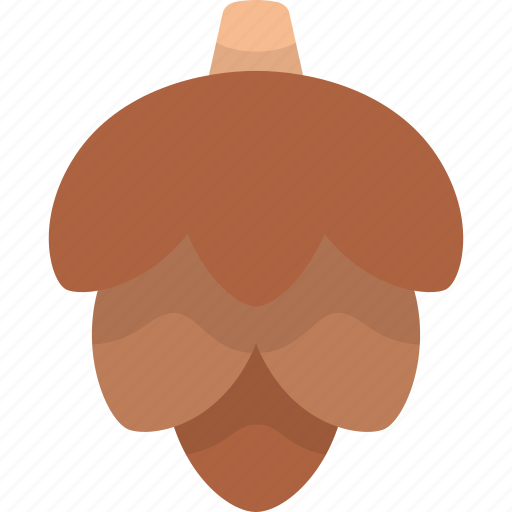 Pine cone, conifer cone, seed, nature, autumn, fall icon - Download on Iconfinder