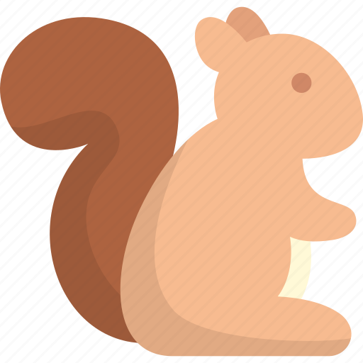 Squirrel, chipmunk, mammal, animal, rodent, wildlife icon - Download on Iconfinder