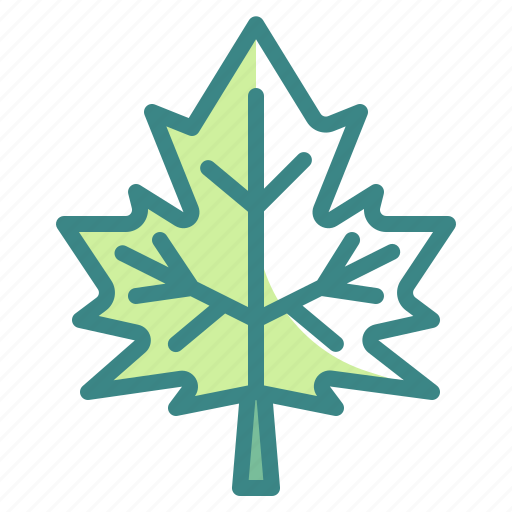 Autumn, botanical, leaf, maple icon - Download on Iconfinder