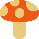 autumn, food, fungus, mushroom, wild