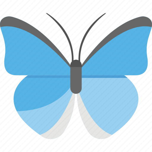 Butterfly, hanging, interior decoration, stuffed butterfly, toy icon - Download on Iconfinder