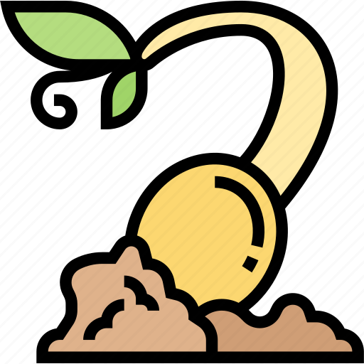 Seedling, sprout, plant, grow, farming icon - Download on Iconfinder