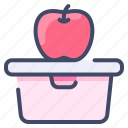 apple fruit, box, food, fruit, lunch, school, student