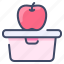 apple fruit, box, food, fruit, lunch, school, student 
