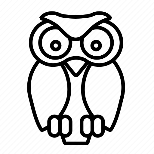 Education, knowledge, owl, school, study, wisdom, learning icon - Download on Iconfinder