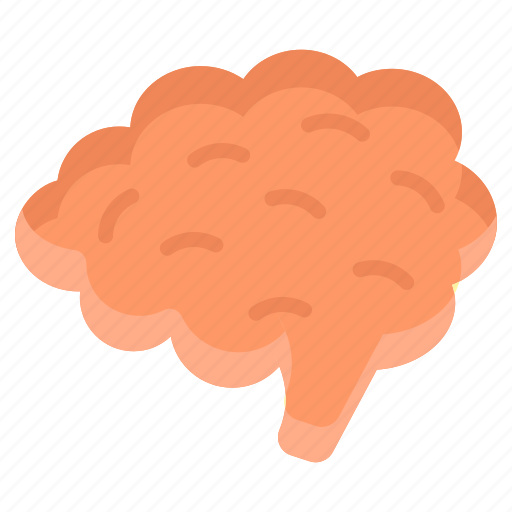 Brain, mind, head, thinking, intelligence, think icon - Download on Iconfinder