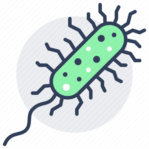 Aeruginosa, bacilli, microorganism, pathogen, pseudomonas icon - Download on Iconfinder