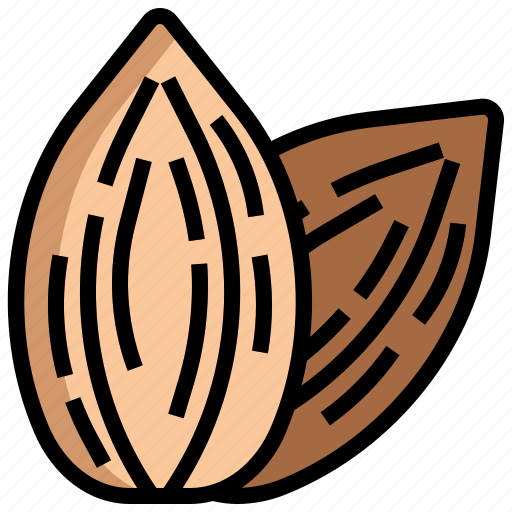 Almond, nut, snack, seed, fruit icon - Download on Iconfinder