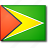 Flag, guyana icon - Download on Iconfinder on Iconfinder