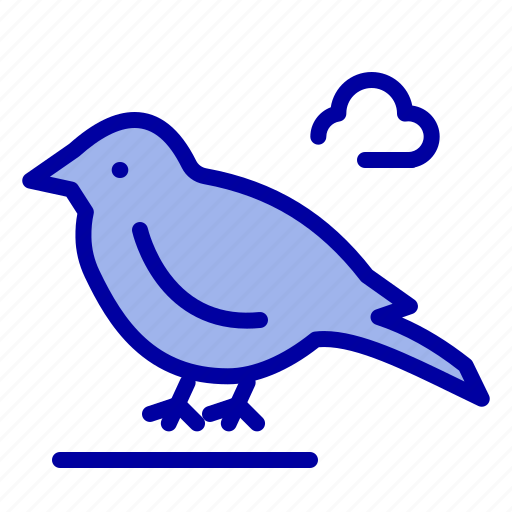 Bird, british, small, sparrow icon - Download on Iconfinder