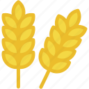 wheat, grain, plant, nature
