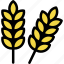 wheat, grain, plant, nature 