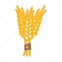 ear, barley, harvest, grain, wheat, rye