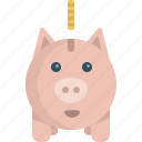 cash, coin, pig, saving