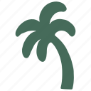 coconut tree, tree, palm tree, tropical, summer, island, beach