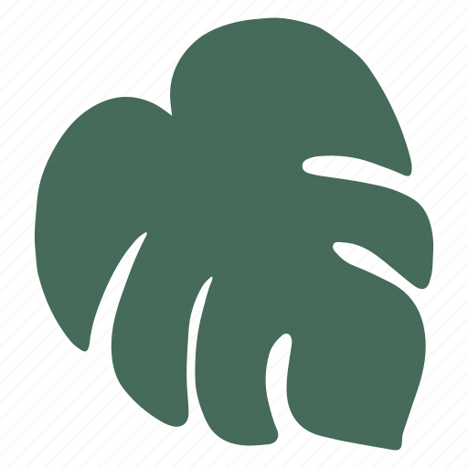 Monstera, leaf, shape, nature, tropical, plant, organic shape icon - Download on Iconfinder