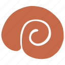 shape, spiral, beach, shell, sea, organic shape, nautilus shell