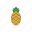 pineapple, fruit, tropical 