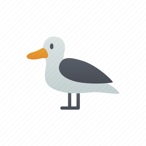 Seagull, bird, beach, summer icon - Download on Iconfinder