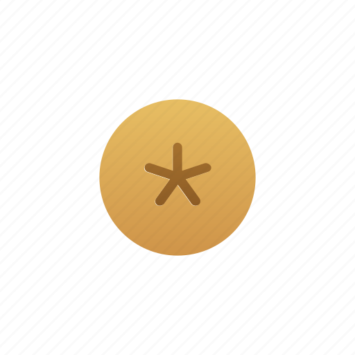 Shell, seashell, sand dollar, beach icon - Download on Iconfinder