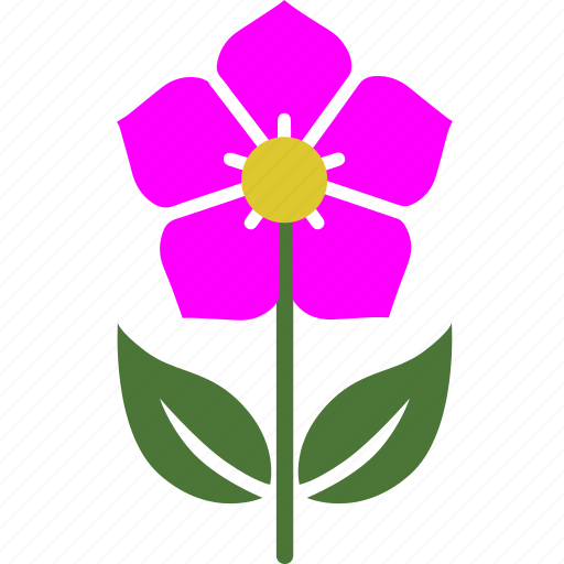 Floral, flower, garden, nature, plant, rose, spring icon - Download on Iconfinder