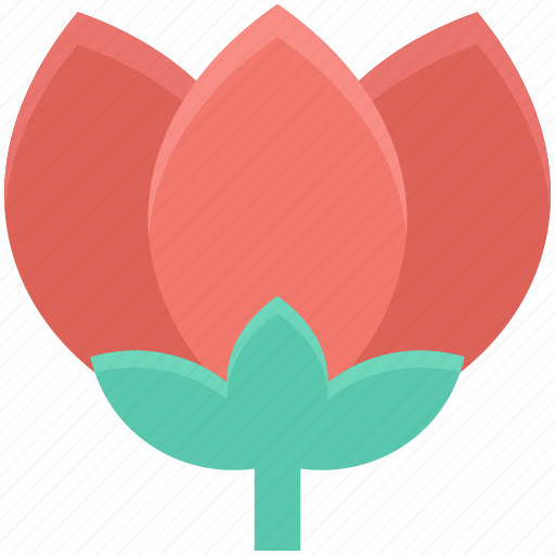 Flower, lotus, lotus lily, tulip, tulip bud icon - Download on Iconfinder