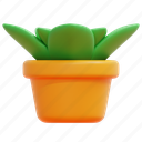 plant, pot, plants, gardening, home, interior, 3d
