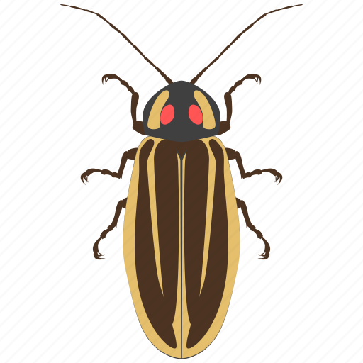 Beetle, bug, firefly, insect icon - Download on Iconfinder