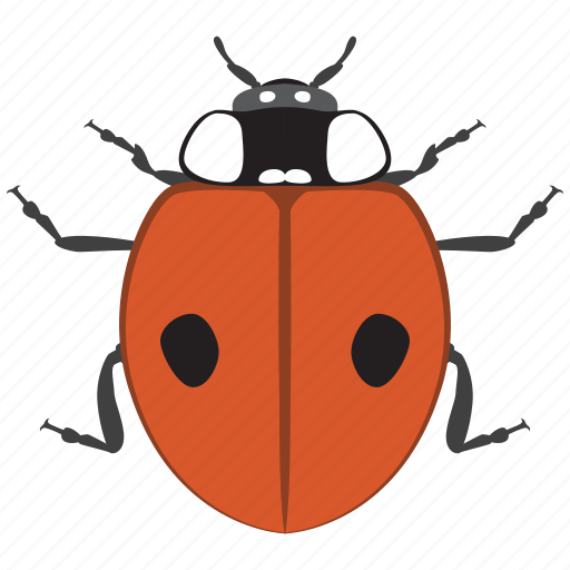 Beetle, bug, insect, ladybug icon - Download on Iconfinder