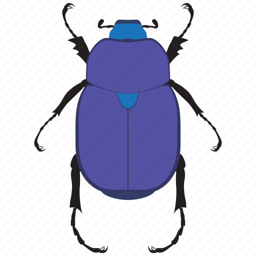 Beetle, bug, insect, scarab icon - Download on Iconfinder