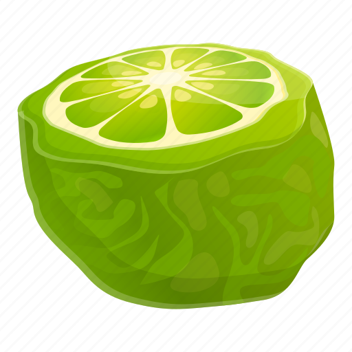 Bergamot, citron, fresh, organic icon - Download on Iconfinder