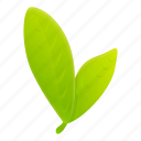 bergamot, green, leafs, white