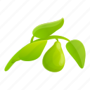 bergamot, tree, branch, leaf