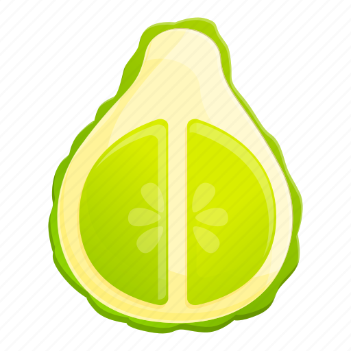 Bergamot, half, cutted, organic icon - Download on Iconfinder