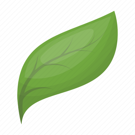Bio, eco, ecology, leaf, nature, plant icon - Download on Iconfinder