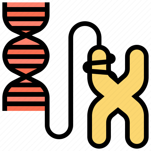 Biology, cell, chromosome, dna, genetics icon - Download on Iconfinder