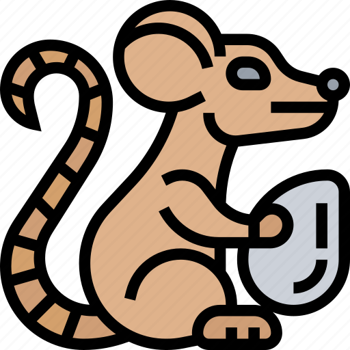 Animal, lab, rat, behavior, testing icon - Download on Iconfinder