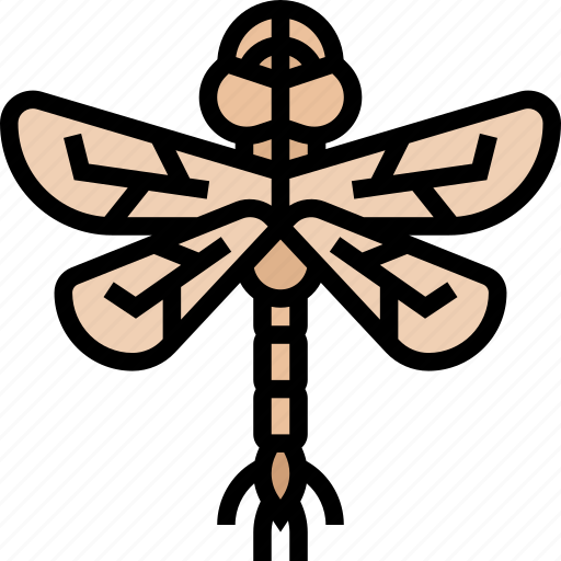 Insect, dragonfly, arthropod, invertebrate, creature icon - Download on Iconfinder