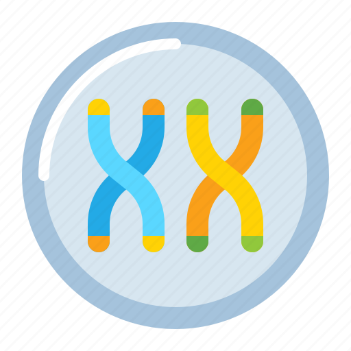 Chromosome, dna, science icon - Download on Iconfinder