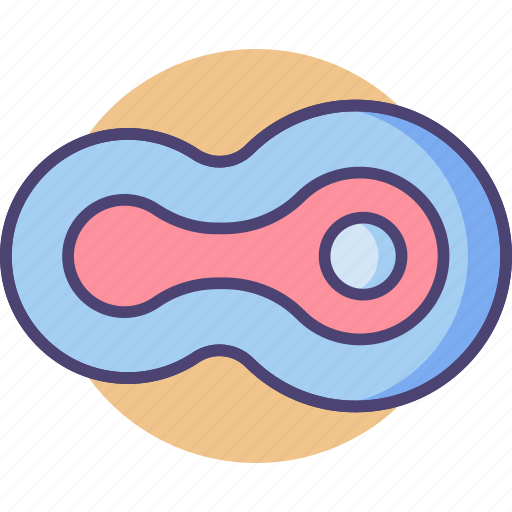 Bacteria, cell, cells, microorganism, organism icon - Download on Iconfinder