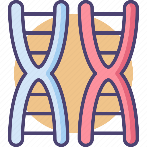 Bioengineering, chromosome, dna, gene, genetics icon - Download on Iconfinder