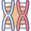 bioengineering, chromosome, dna, gene, genetics 