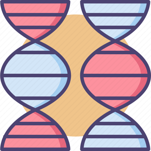 Bioengineering, chromosome, comparation, dna, genes, genetic, genetic comparation icon - Download on Iconfinder
