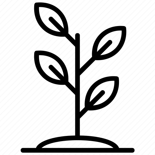 Biological plant, botany, plant, plant experiments, plantation icon - Download on Iconfinder