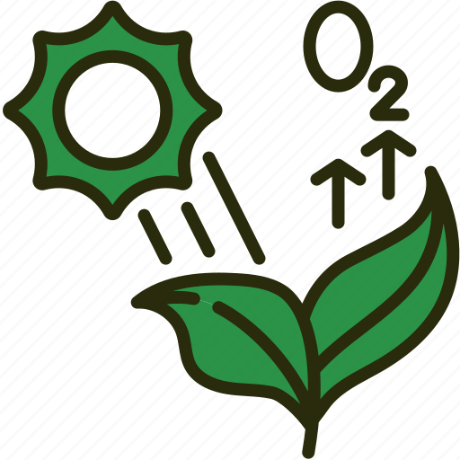 Photosynthesis, carbon, oxygen, science, life, leaf, nature icon - Download on Iconfinder