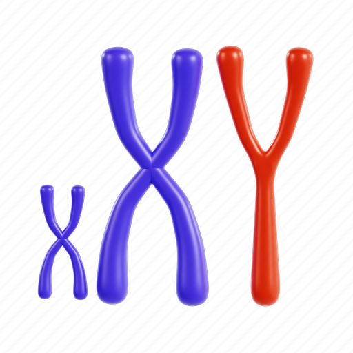 Chromosome, gene, dna, science, biology, illustration, genome 3D illustration - Download on Iconfinder