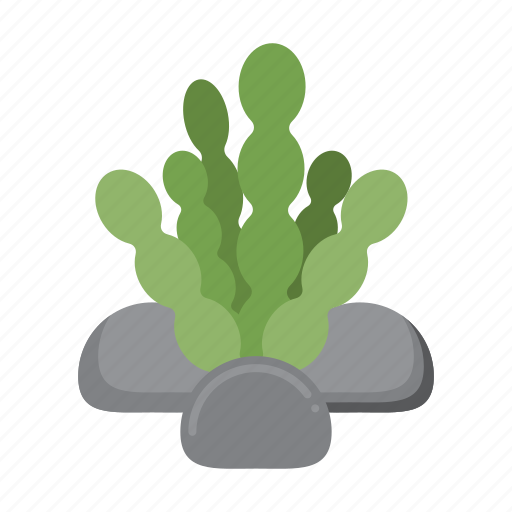 Algae, plant, marine, seaweed icon - Download on Iconfinder