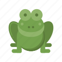 amphibian, frog, toad, animal